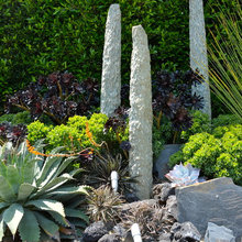 phoenix back yard