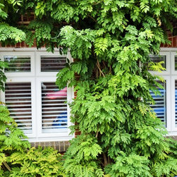 Beautiful interior Shutters in Canford Cliffs Poole interior - Interior Shutters