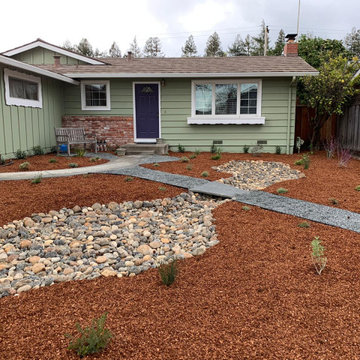 River Rock Dry Bed