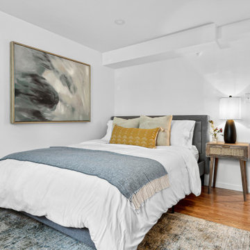Chestnut Hill Basement Apartment Conversion