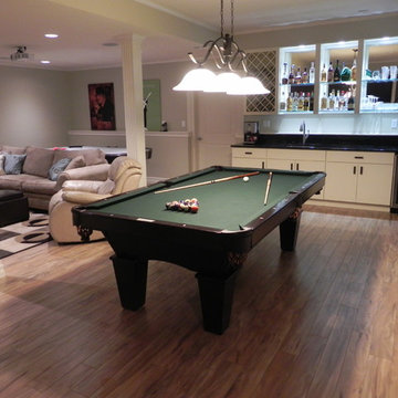 Home Theater / Game Room
