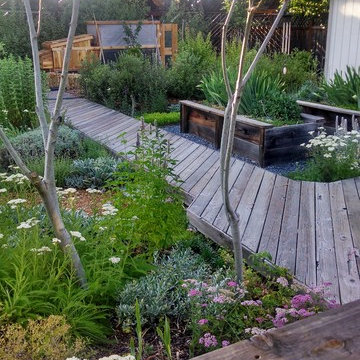 Shoestring eco-paradise and plant experimentation station