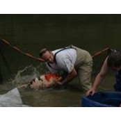 Matt Corino's photo