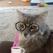 Dichele Schartel's photo