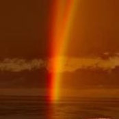 Cheryl Verdon's photo