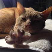 Karen Murphy's photo
