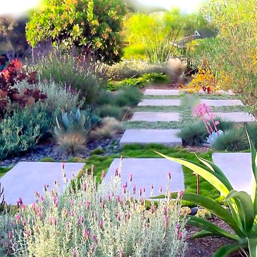 Front Yards