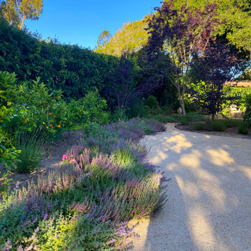 Montecito Hedgerow