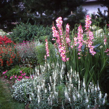 Outdoor Spaces