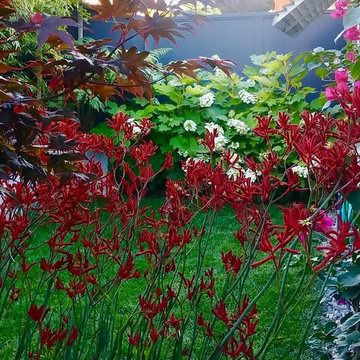 Willowhaven Cozy Oasis