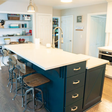 Modern Open Kitchen and Family Room Renovation