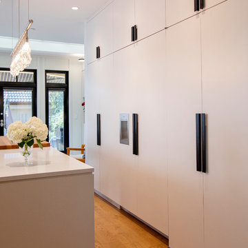 Modern Galley Kitchen