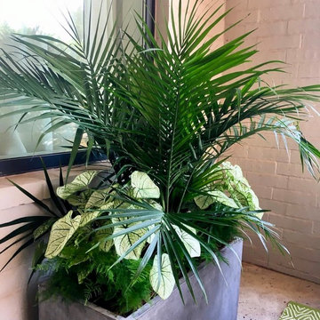 Summer Container Gardens