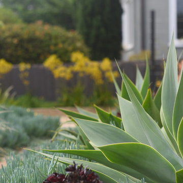 America's Best Front Yard