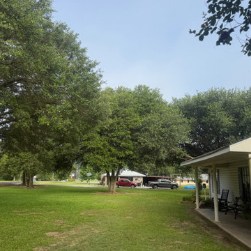 Oak Tree Removal in Marksville LA
