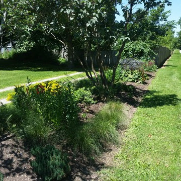 sycamore native driveway