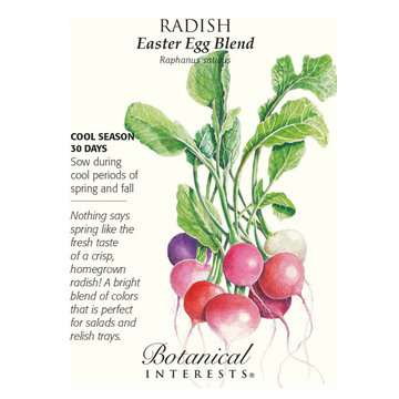 Growing Vibrant Colorful Veggies/ Raised Beds