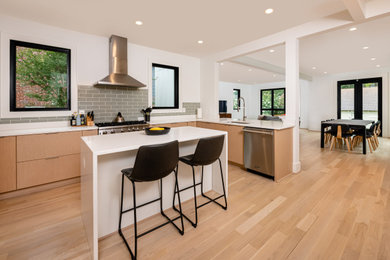 Example of a trendy kitchen design in DC Metro