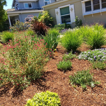 Small Changes, Big impact in Cupertino