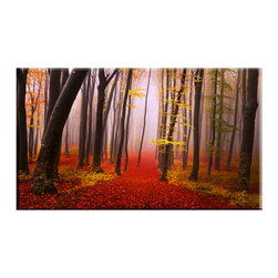 Vibrant Canvas Prints - Framed Autumn Forest Print on Canvas Wall Art for Home and Office D�cor - Prints And Posters