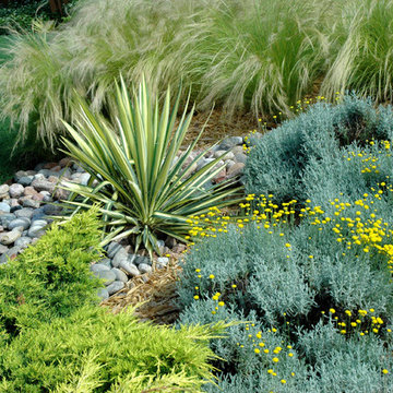Plant Recipes