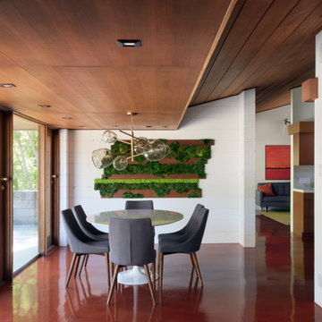 Olof Dahlstrand Remodel by Klopf