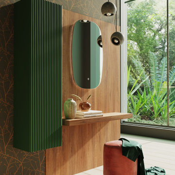 Mirrors/ Shave Cabinets