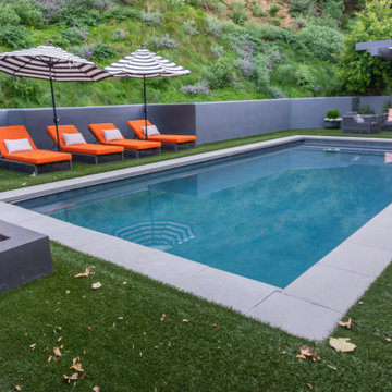 Mandeville Canyon Modern Oasis