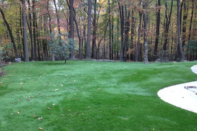 Photo of a landscaping in Other.