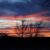 Tammy Robinson's photo