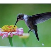 Emmie Grainger's photo