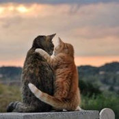 Danielle Roth's photo
