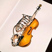 Nancy Feist's photo