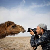 Dado Tapsanov's photo