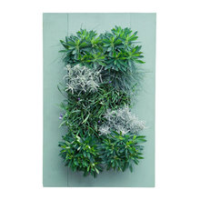 alicia_prosceno's ideas