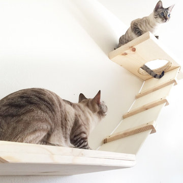 Collection of furntiure