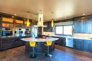 Inspiration for a contemporary kitchen remodel in Other