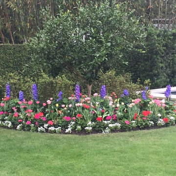 Gardens & Garden Paths