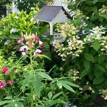 Garden Project