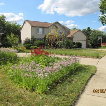 Compilation of Rain Garden Projects