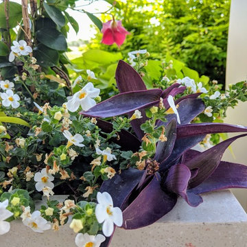 Outdoor Planter Design