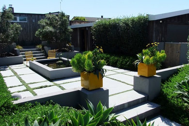 Design ideas for a modern garden in San Francisco.