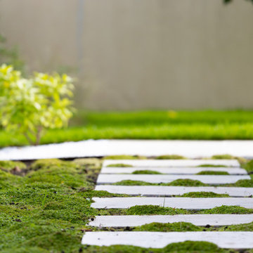 Un jardin apaisant