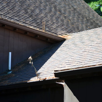 Roof Cleaning