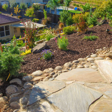Terraced Backyard