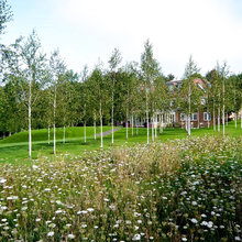 house-landscaping