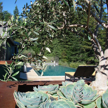 Water in the Garden