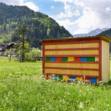 Bienenhaus #3