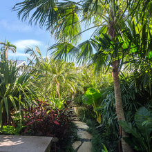 HILTON HEAD ARCHITECTS, DESIGN BUILD FIRMS, POOLS, LANDSCAPE