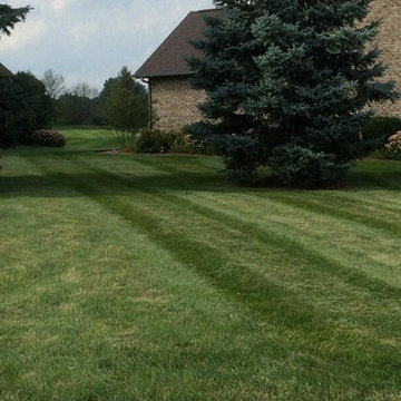 Our Lawn Maintenance